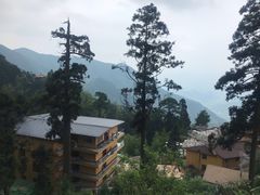 -东天目山风景区