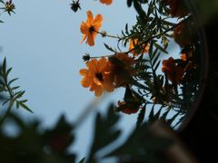 -映月湖中央公园