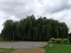 -长春公园(普阳街道)