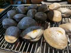 烤黄蚬子-丹东特色烤肉(学府路一部店)