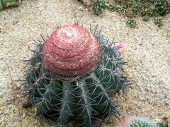 -华南国家植物园-售票处