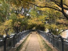 -清溪水库