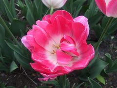 -长春公园(普阳街道)