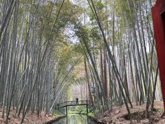 -同里国家湿地公园