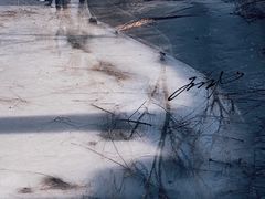 -颐和园
