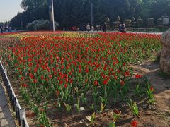 -长春公园(普阳街道)