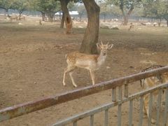 android_upload_pic-西安秦岭野生动物园