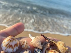 -湄洲岛