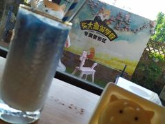 -柴犬高等学院·狗咖·柴犬售卖·宠物训练