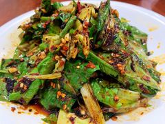 -陈有良尖椒鸡(渝中示范店)