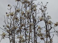 -烤肉宛饭庄(北新桥店)