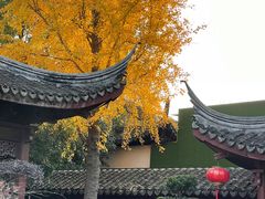 -檀园