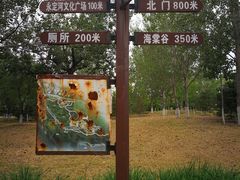 -永定河休闲森林公园