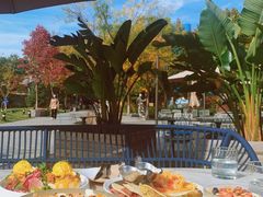 -The Rug Cafe(王府中环店)