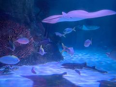 -沈阳海洋探索中心