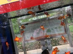 -石家庄市动物园