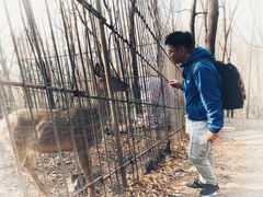 -帽儿山风景区