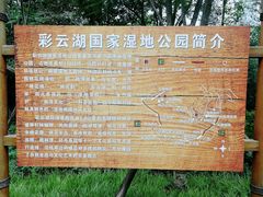 -重庆彩云湖湿地公园