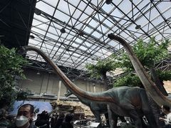 -国家自然博物馆