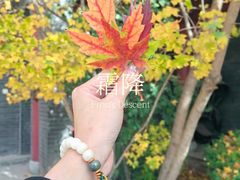 -西宁市人民公园(城西区)