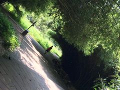 -广州市流溪河国家森林公园