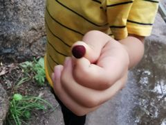 -碓臼峪自然风景区