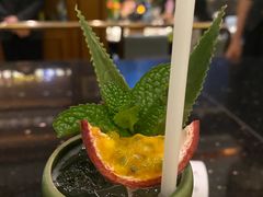 Zombie-酒池星座(深圳湾后海汇店)