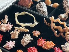 -浙江自然博物院(杭州馆)