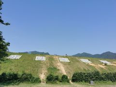 -龙坞茶村