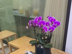 -张钰强中医正骨推拿连锁(华发商都店)