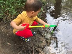 -碓臼峪自然风景区