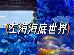 -左海海底世界