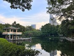 -晓港公园