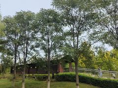 -北京麋鹿生态实验中心