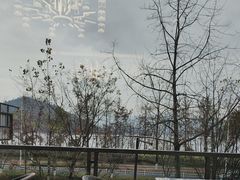-宝荣鱼馆·临湖之宴(千岛湖店)