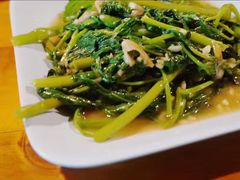 虾酱空心菜-Ruam Saep Yok Khok Som Tam