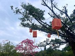 -南沙天后宫景区
