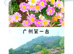 -广州市石门国家森林公园