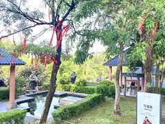 -罗浮山嘉宝田森林温泉度假酒店