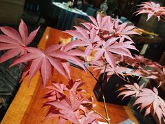 -南堂館川菜文化餐厅(天府店)