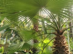 -石家庄市植物园