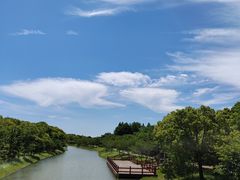 -上海海湾国家森林公园
