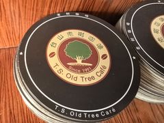 -OLD TREE老树咖啡·西餐厅(台山人工湖店)