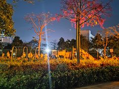 -红花山公园