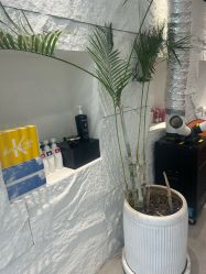 -BOF HAIR BY HONTO