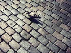 -布鲁塞尔大广场