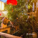佛山探店｜特色农家菜｜高明濑粉｜免费鸡骨草茶！