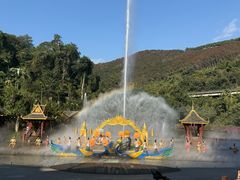 -西双版纳原始森林公园