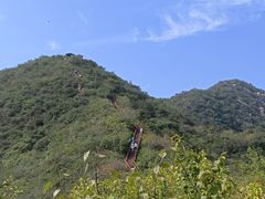 -大岭沟猕猴桃谷风景区