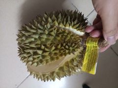 -PAGODA百果园(湛江城市美林店)